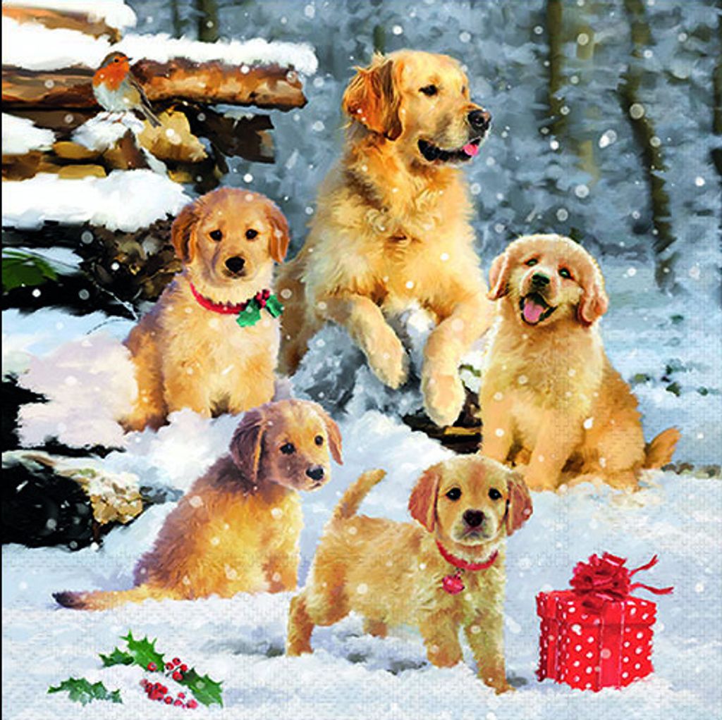 Weihnachten Servietten 33x33 cm 3-lagig 20 Servietten Golden retriever puppies