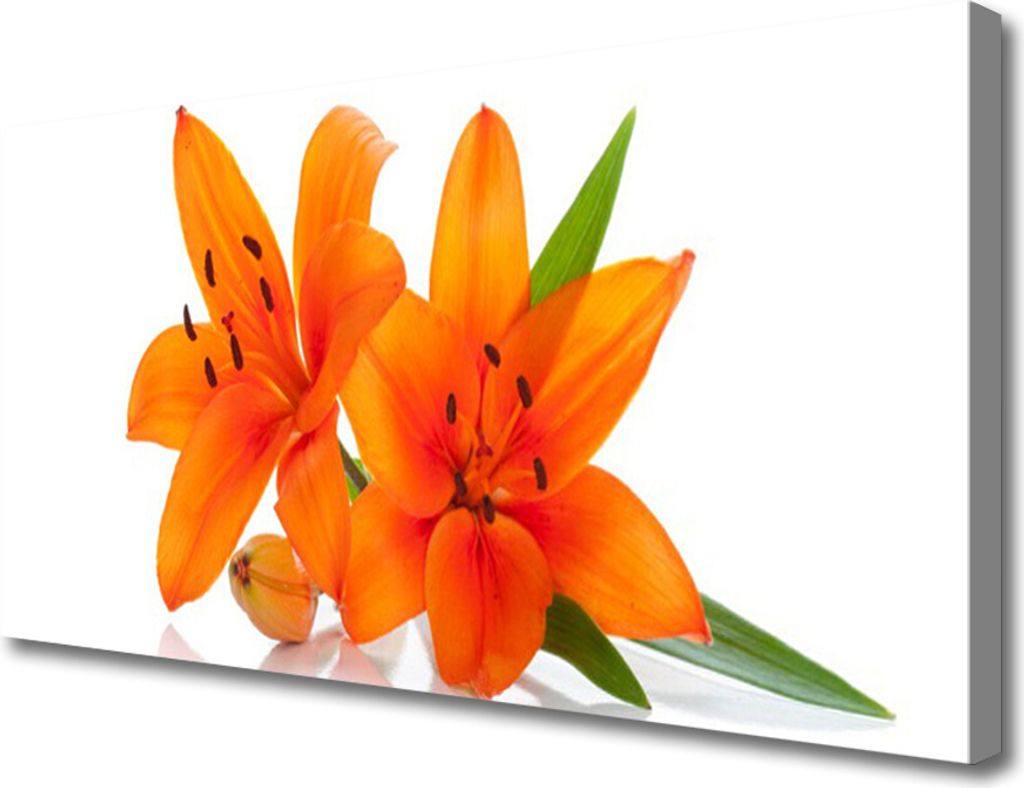 Tulup Leinwand-Bilder 100x50 Wandbild Canvas Kunstdruck Blumen Pflanzen