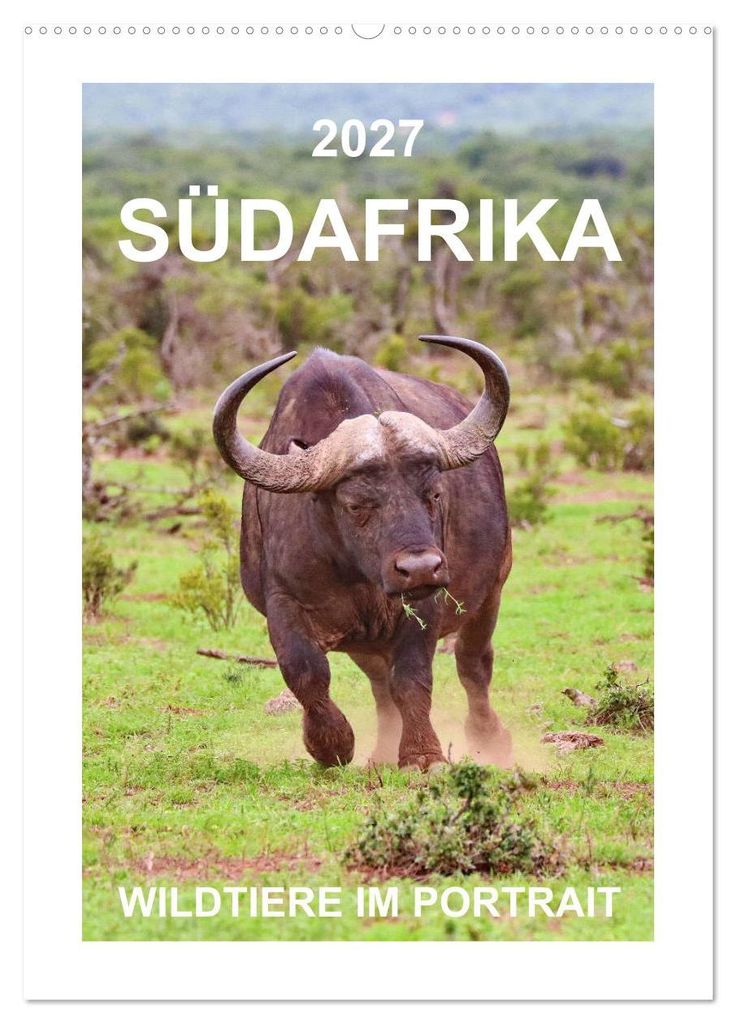 SÜDAFRIKA - WILDTIERE IM PORTRAIT (Wandkalender 2027 DIN A2 hoch), CALVENDO Monatskalender
