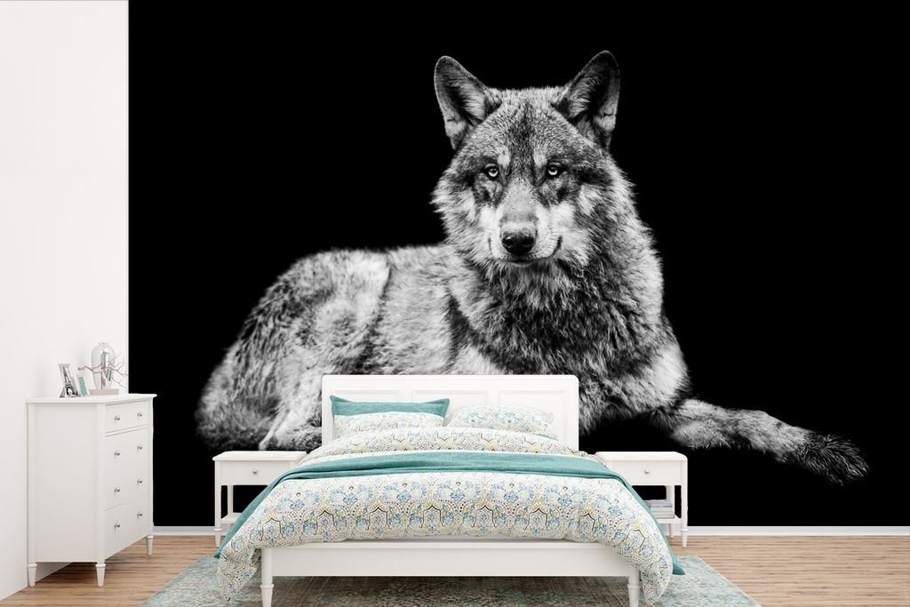 MuchoWow Fototapete für Wohnzimmer oder Schlafzimmer Wandtapete Vinyl Motivtapete Wildlife - Wolf - Schwarz - Weiß - 360x240 cm - Vinyl-Tapete
