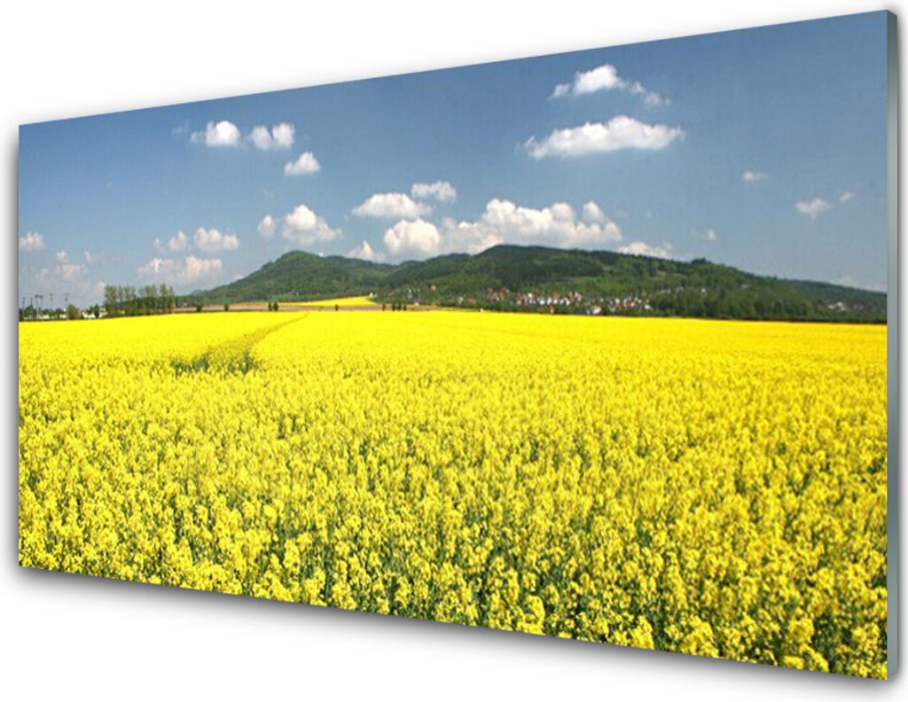 Acrylglasbilder 100x50 Wandbild Druck Wiese Natur