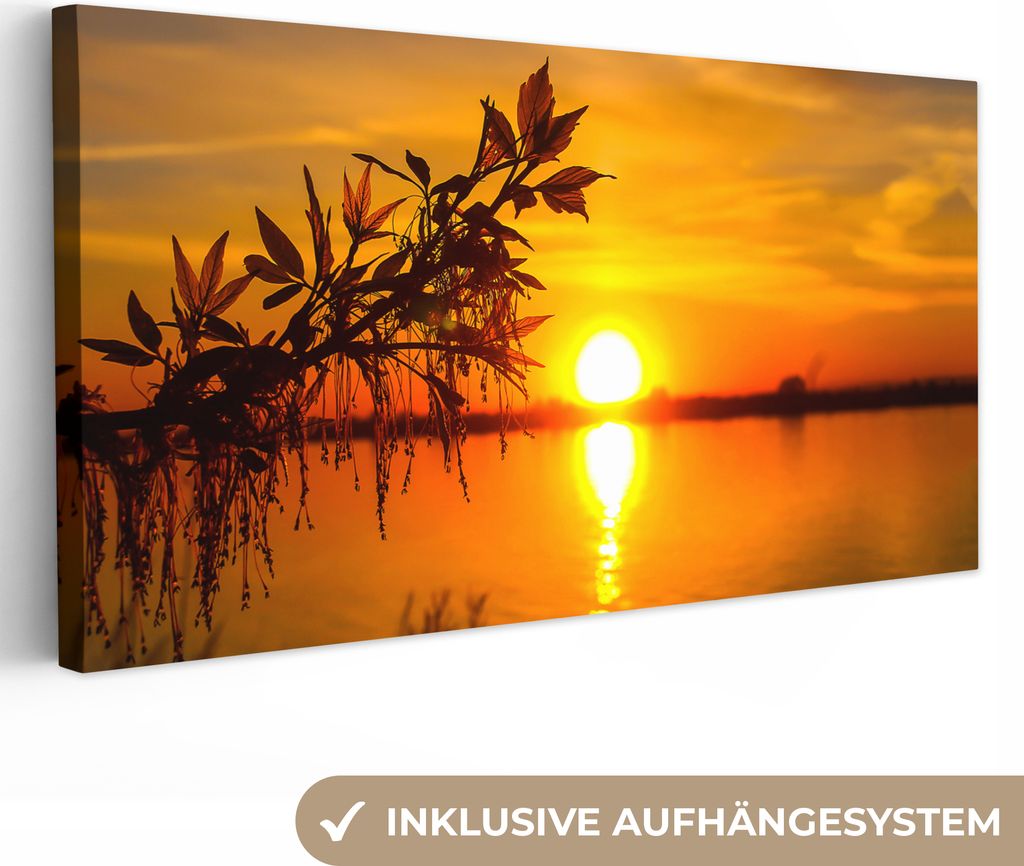 MuchoWow - Leinwandbilder - Sonnenuntergang - Wasser - Pflanzen - Orange, Wandbild, Wanddeko Bilder Wohnzimmer, 80x40 cm