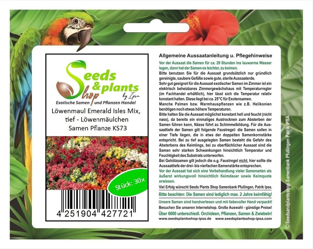 30x Löwenmaul Emerald Isles Mix, tief - Löwenmäulchen Samen Pflanze KS73