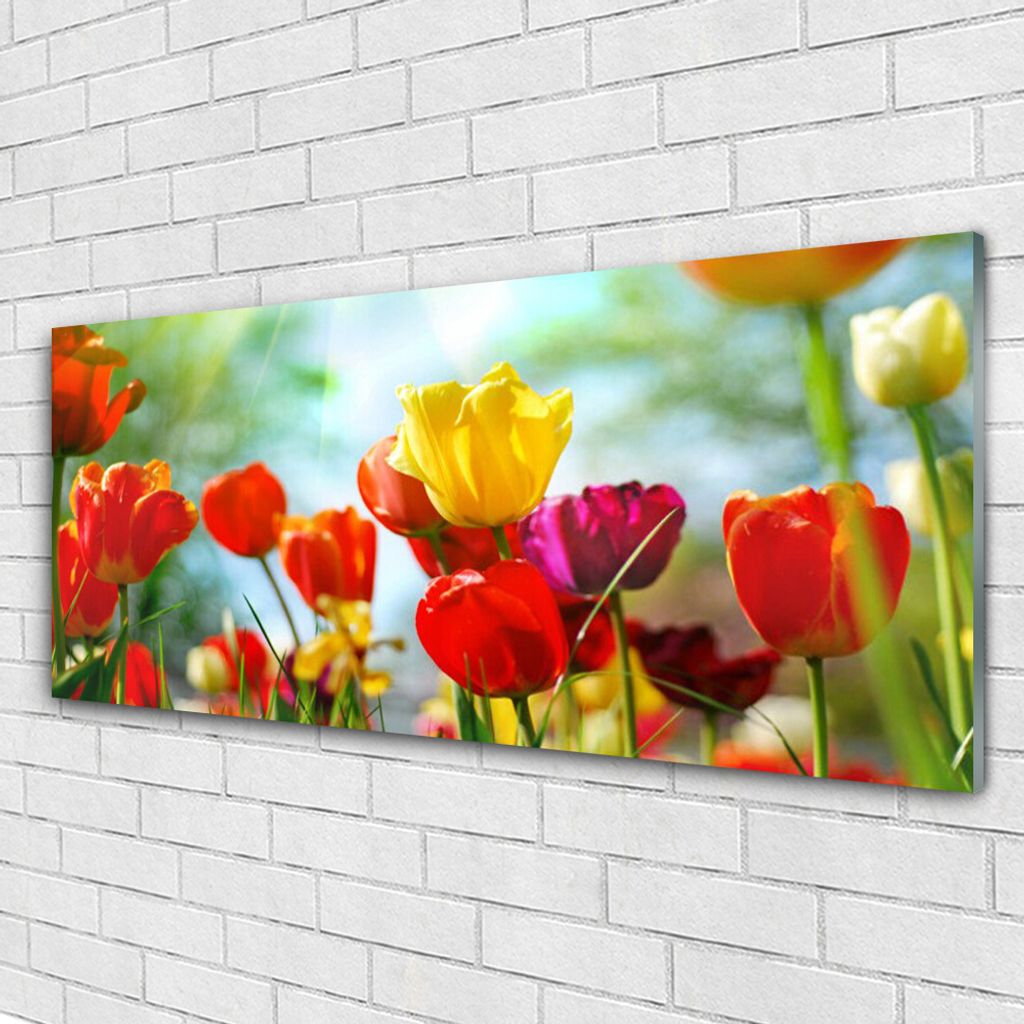 Acrylglasbilder 125x50 Wandbild Druck Blumen Pflanzen