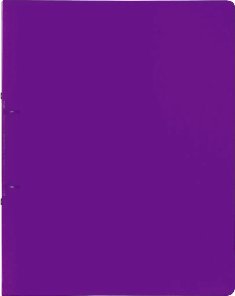 Rangement Dossiers A4 Classeur Violet 2 Anneaux 25mm Lot de 10 Pièces