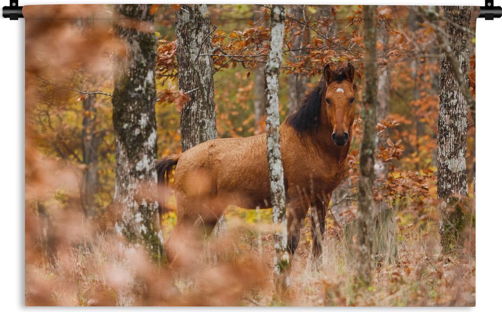 MuchoWow Wandteppich Wandbehang Pferd - Wald - Herbst 90x60 cm Tapisserie Dekoration Wandtuch - Wandskulpturen - Bildteppich