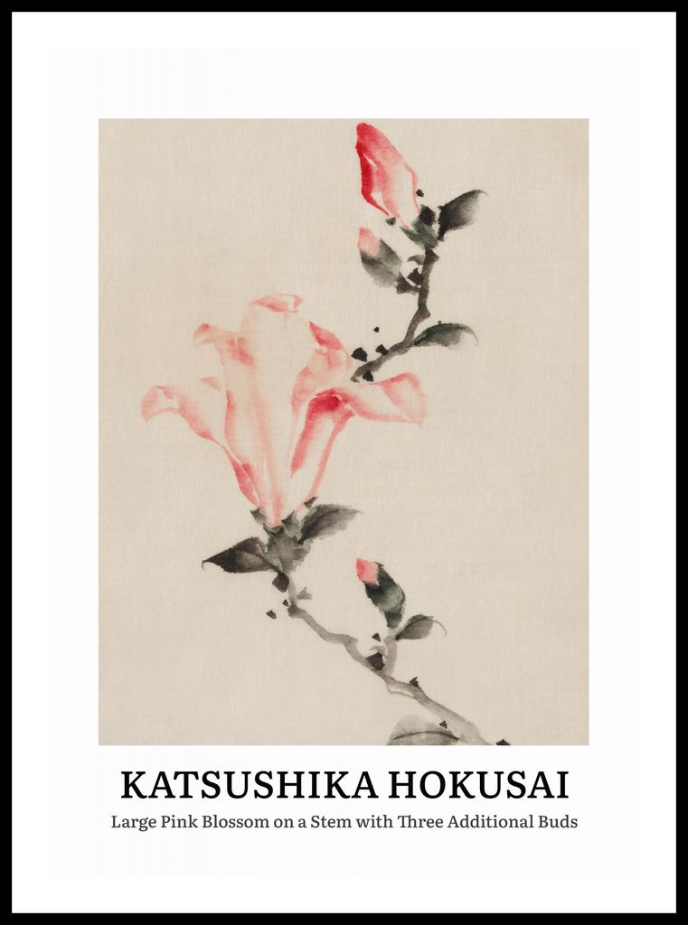 Plakat 50x70cm Design Large Pink Blossom, Hokusai Vintage für das Wohnzimmer