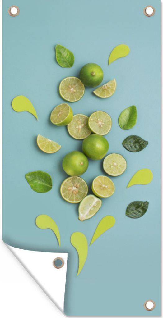 MuchoWow 30x60 cm Outdoor-Poster Gartendeko Sichtschutz Garten Poster für den Garten Limette - Blätter - Stilleben