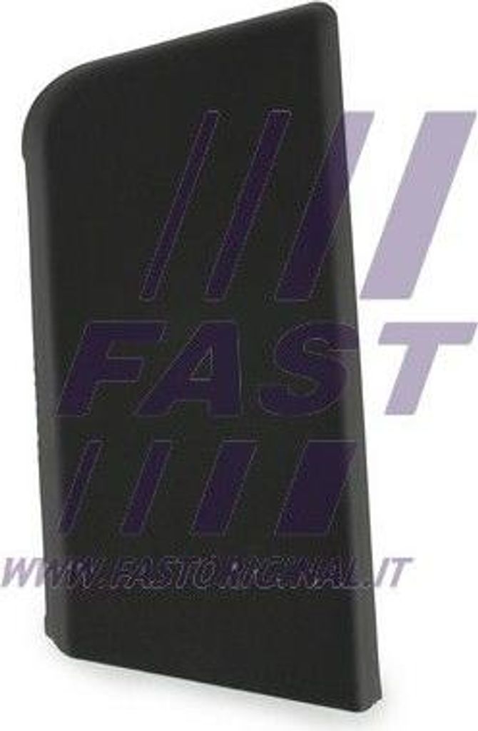 FAST FT90879 Zier-/Schutzleiste, Tür OE 735684314 kompatibel mit Jumper, Ducato, Boxer