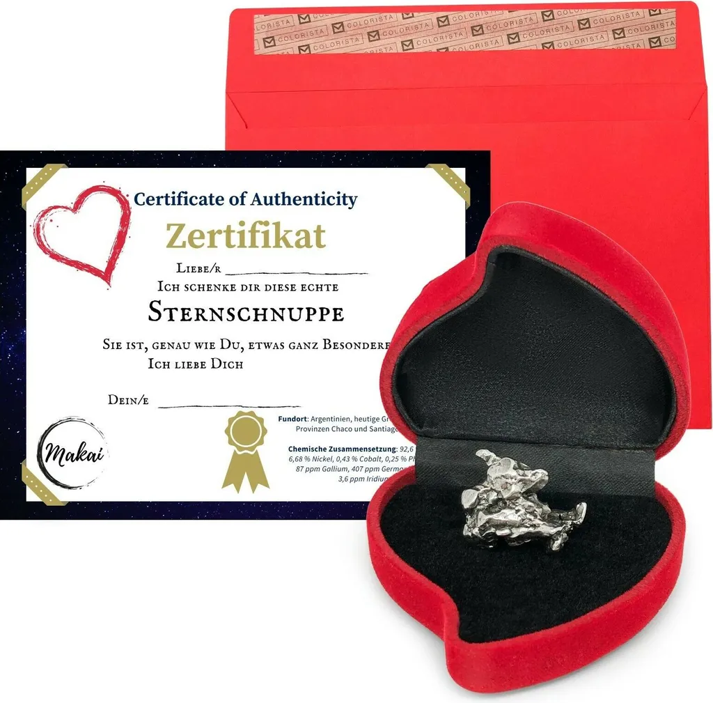 Meteorite Autentica Makai 15g Campo del Cielo - Certificato Pro