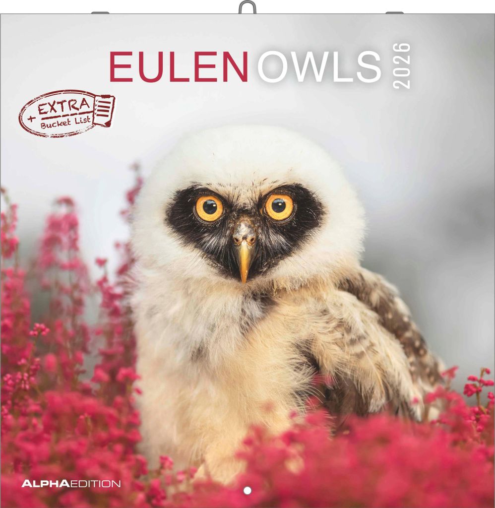 Alpha Edition - Eulen 2026 Broschürenkalender, 30x30cm, Produktbild 