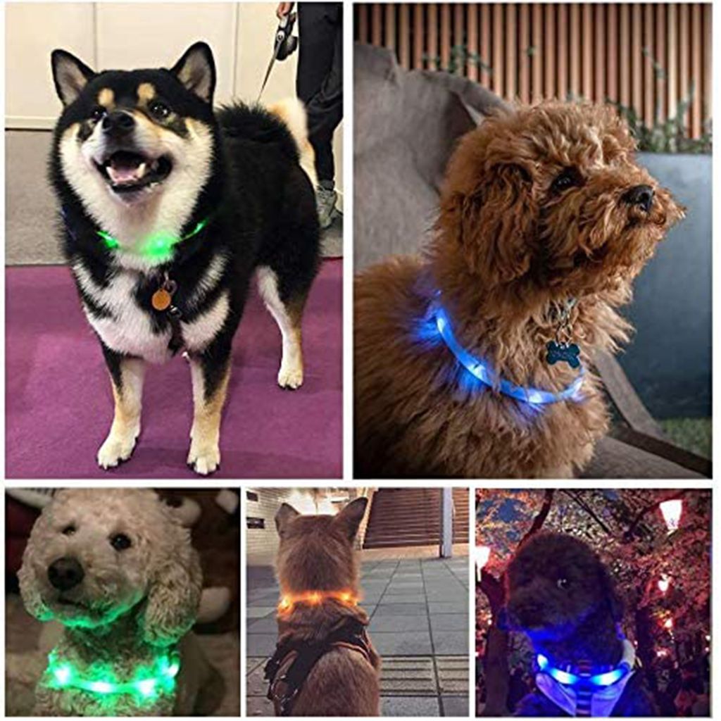 LED Leuchthalsband für Hunde USB Aufladbar LED Produktbild 5