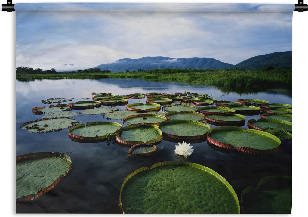 MuchoWow Wandteppich Wandbehang Das Pantanal an einem Fluss mit Seerosen in Südamerika 90x67.5 cm Tapisserie Dekoration Wandtuch - Fototeppich -...