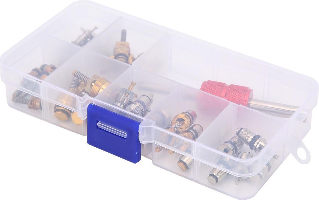 40pcs Auto Klimaanlage Ventilkern mit Entfernerwerkzeug 5101791AA / 5189373AA Ersatz für Chrysler