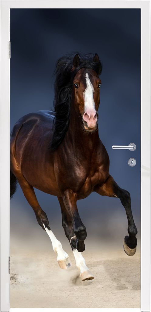 MuchoWow Türtapete Selbstklebende Türfolie Pferde - Tiere - Sand 80x205 cm Türposter Türaufkleber Klebefolie Türklebefolie - Fototapete - XX...