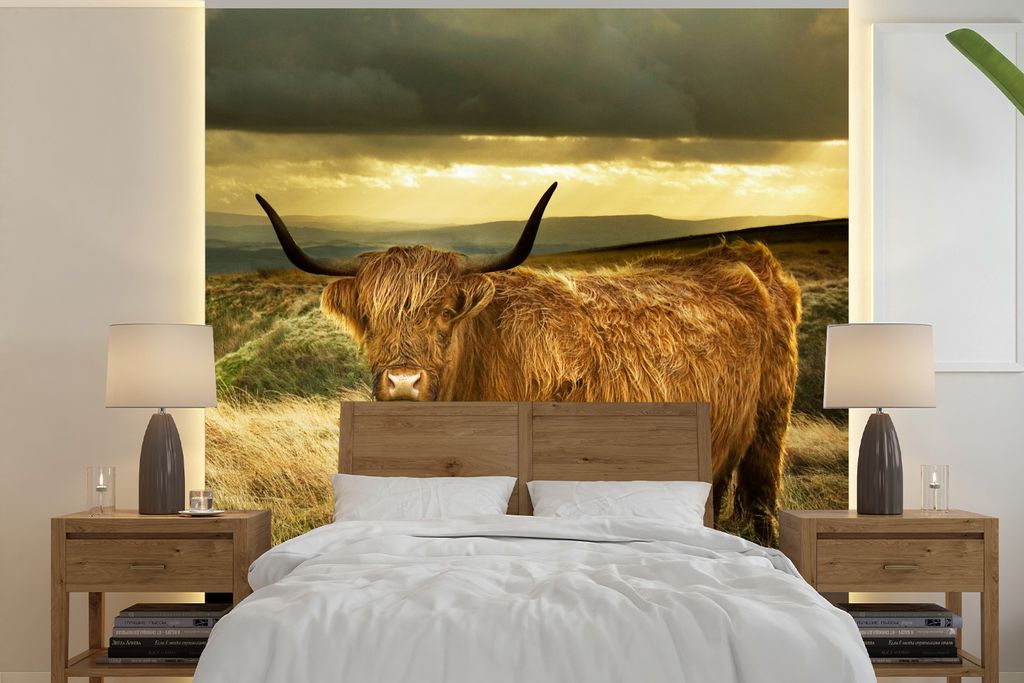 MuchoWow Fototapete für Wohnzimmer oder Schlafzimmer Wandtapete Vinyl Motivtapete Schottische Highlander - Licht - Natur - 240x240 cm - Schlafzi...