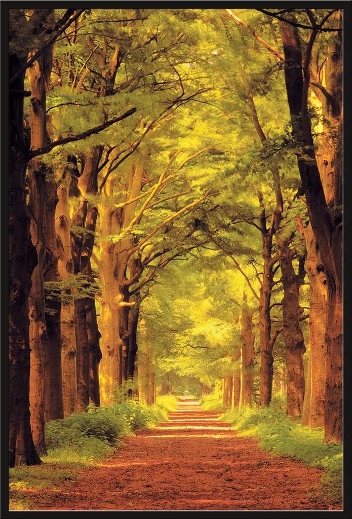 Cadre Photo Forêt Shinsuke® pour Salon et Bureau, Vitre Acrylique Noire