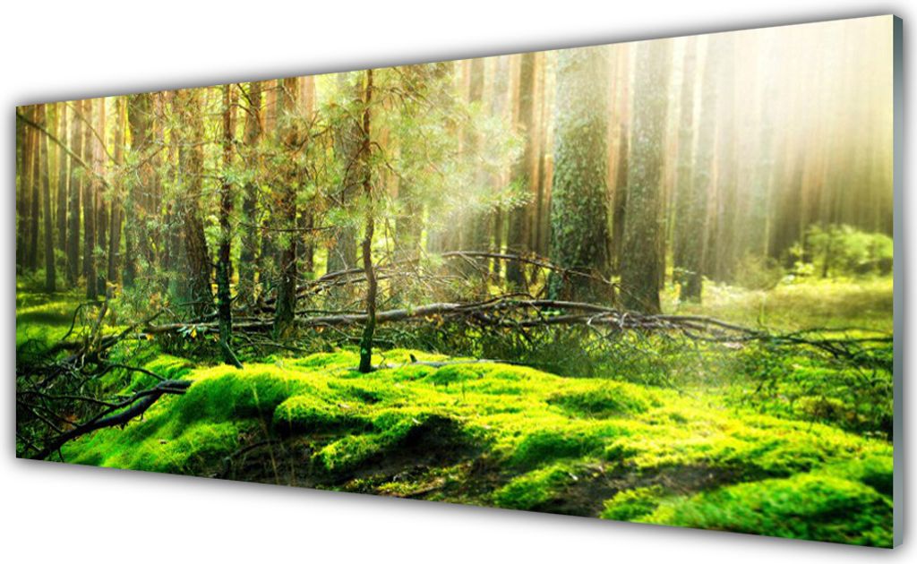 Küchenrückwand aus Glas 125x50cm Spritzschutz Moos Wald Natur