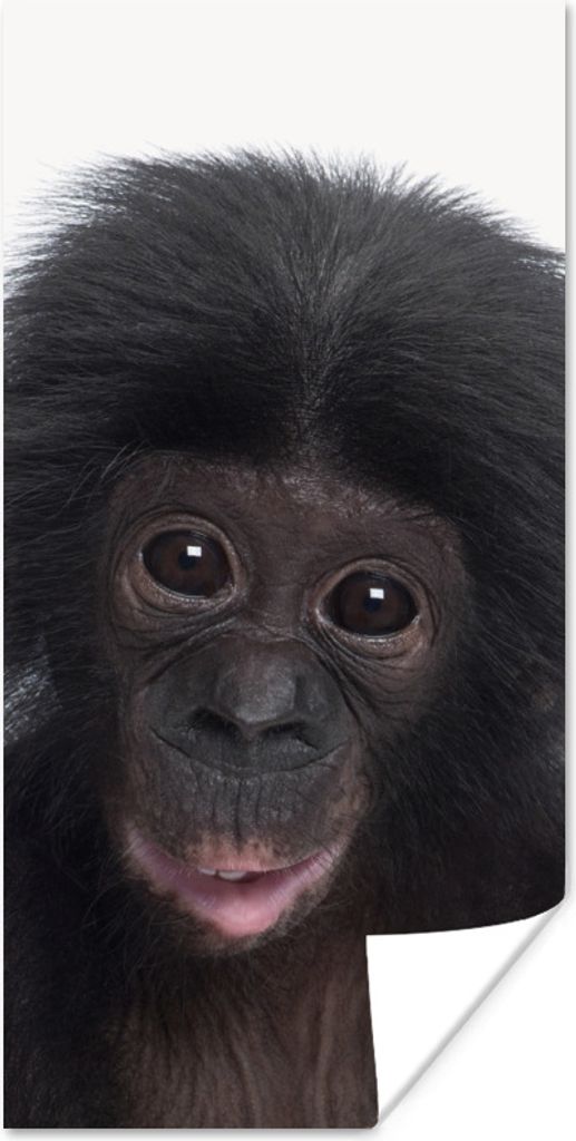 MuchoWow Poster Affe - Schimpanse - Porträt - Kinder - Jungen - Mädchen 75x150 cm - Dekoration für die Wände