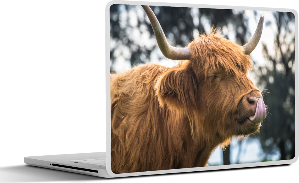 MuchoWow Laptop Aufkleber Sticker Cover Schottisches Hochlandrind - Kuh - Frühling - Tiere 30x21 cm - Sticker für Laptop - Selbstklebend