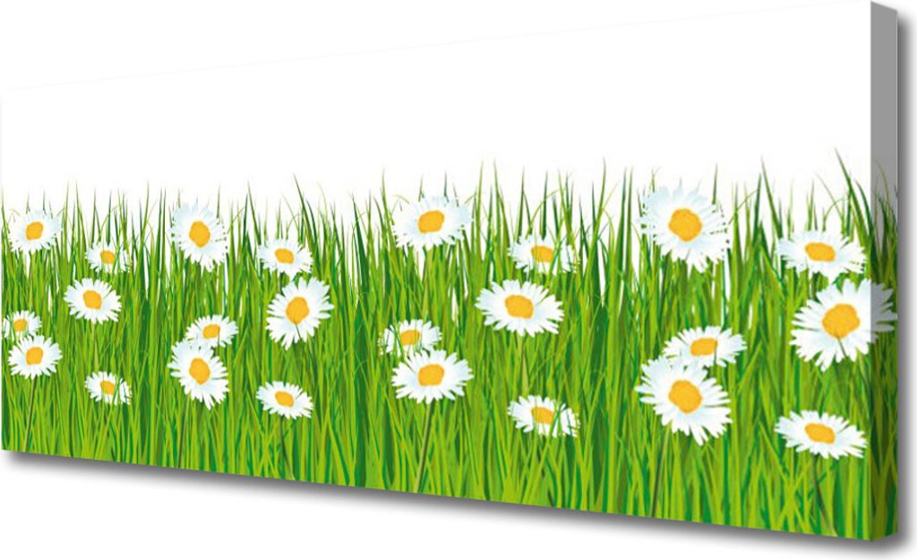 Tulup Leinwand-Bilder 125x50 Wandbild Canvas Kunstdruck Gras Gänseblümchen Natur