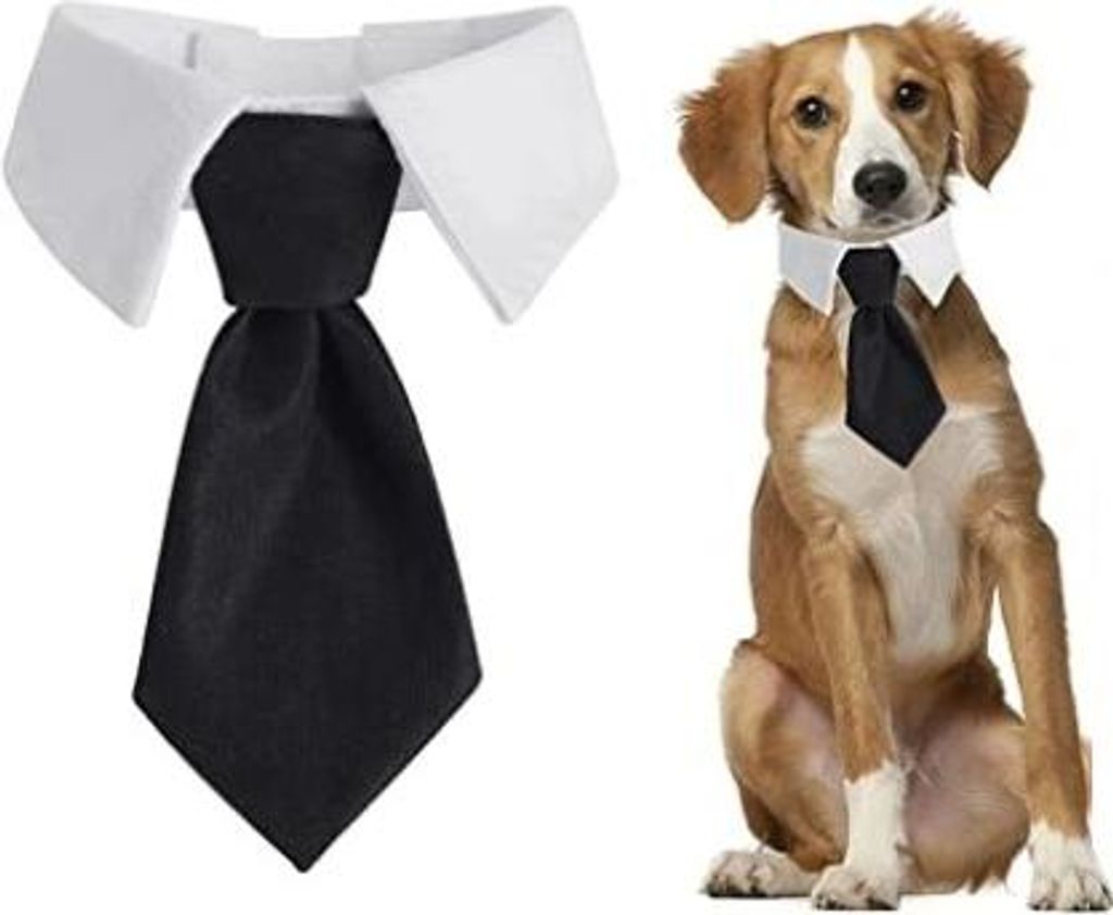DOG CAT TIES Všestranný ELEGANT EVENT OUTfit velikost L Obrázek produktu 