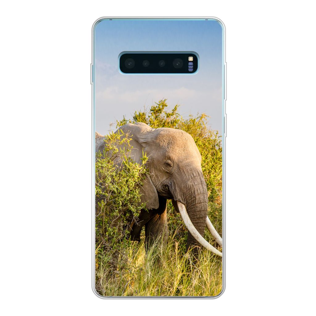MuchoWow Handyhülle Schutzhülle Hülle für Samsung Galaxy S10 Plus Elefant - Tiere - Gras - Grün - Berg Silikon Softcase Handy Hülle - Schut...