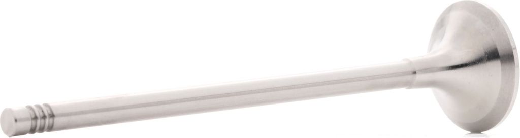 BGA V998713 Auslassventil Ø29,5mm 122,9mm für OPEL Vivaro A Kastenwagen (X83) Vivaro A Combi (X83) Movano Kastenwagen (X70) Movano Bus (X70)