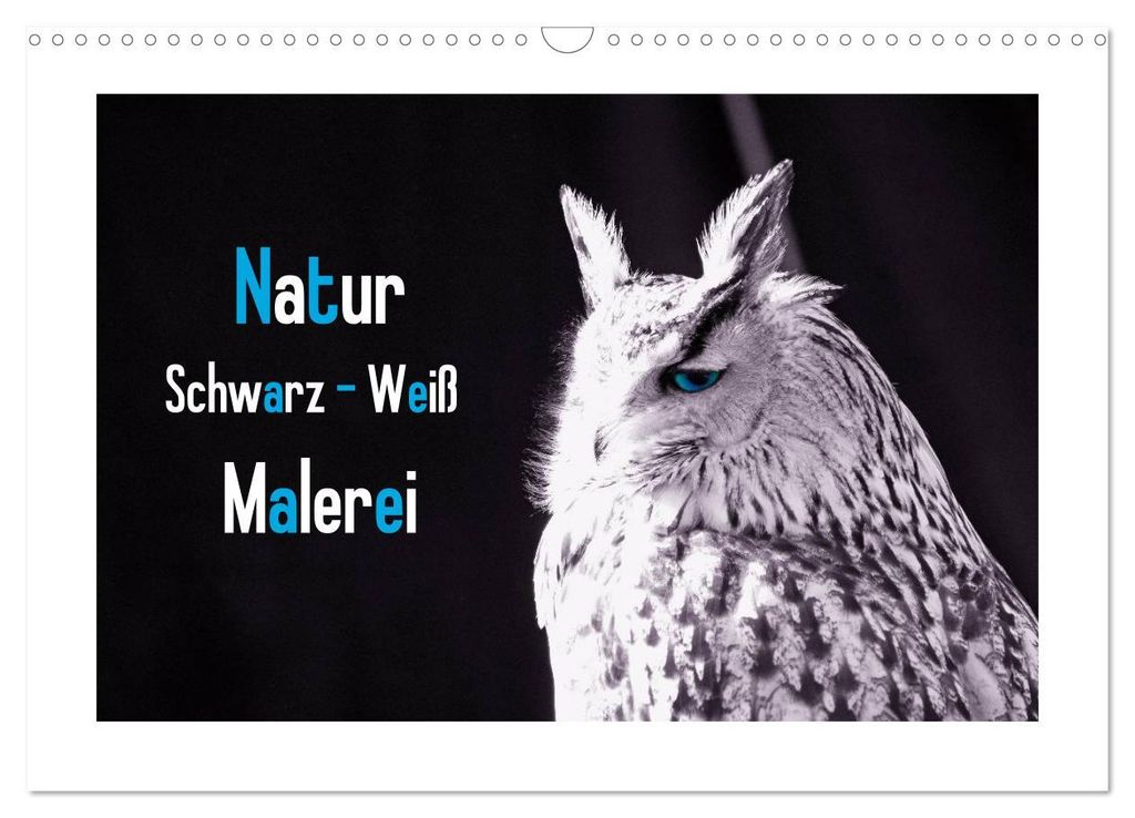 Natur schwarz - weiß Malerei (Wandkalender 2027 DIN A3 quer), CALVENDO Monatskalender