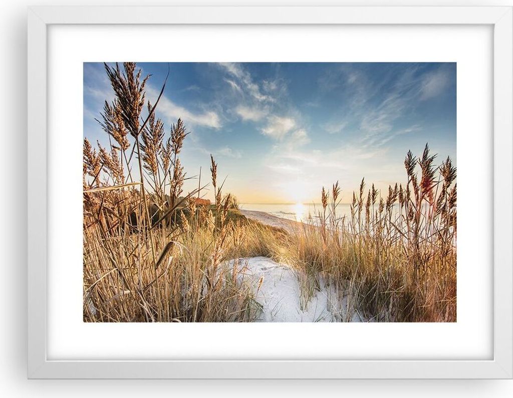 Gerahmtes Poster - Weißer Rahmen - Ähren Küste Sonne - 40x30 cm - Wand Bild - Wanddeko - Wandbilder - Kunstposter - Wandposter - Bilderrahmen - ...