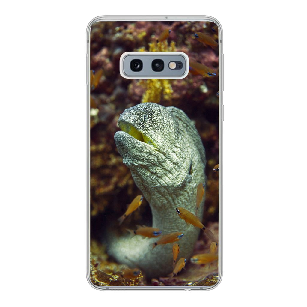 MuchoWow Handyhülle Schutzhülle Hülle für Samsung Galaxy S10e Fische - Korallen - Ozean Silikon Softcase Handy Hülle - Handy