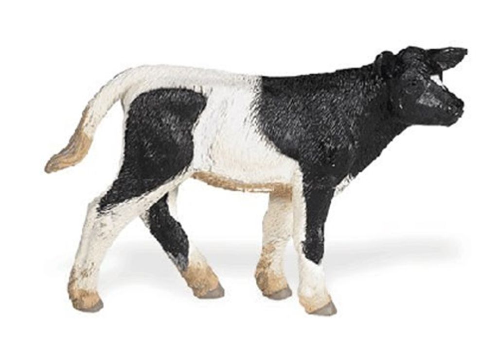 Safari 2327-29 - Holsteiner Kalb