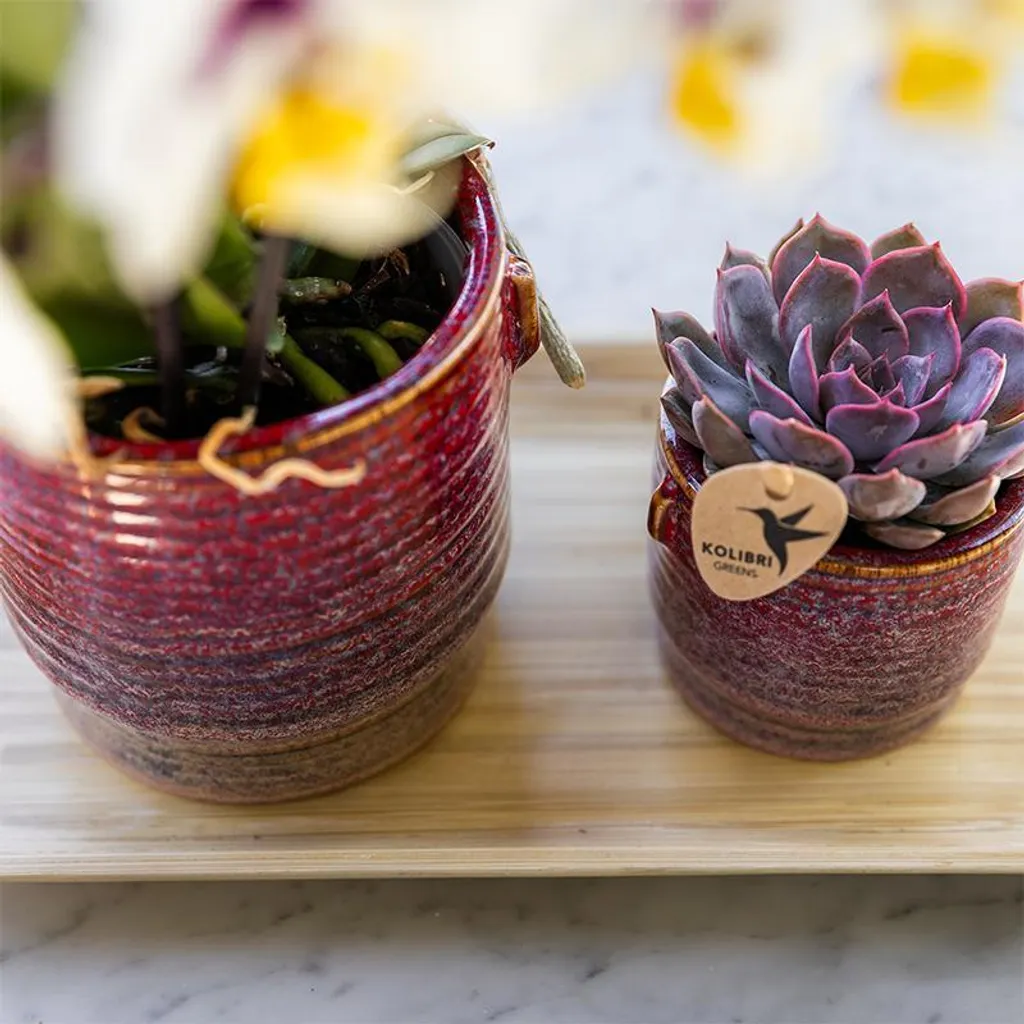 Pot de fleurs rétro Aura Ø9cm : la solution design pour votre déco - 2