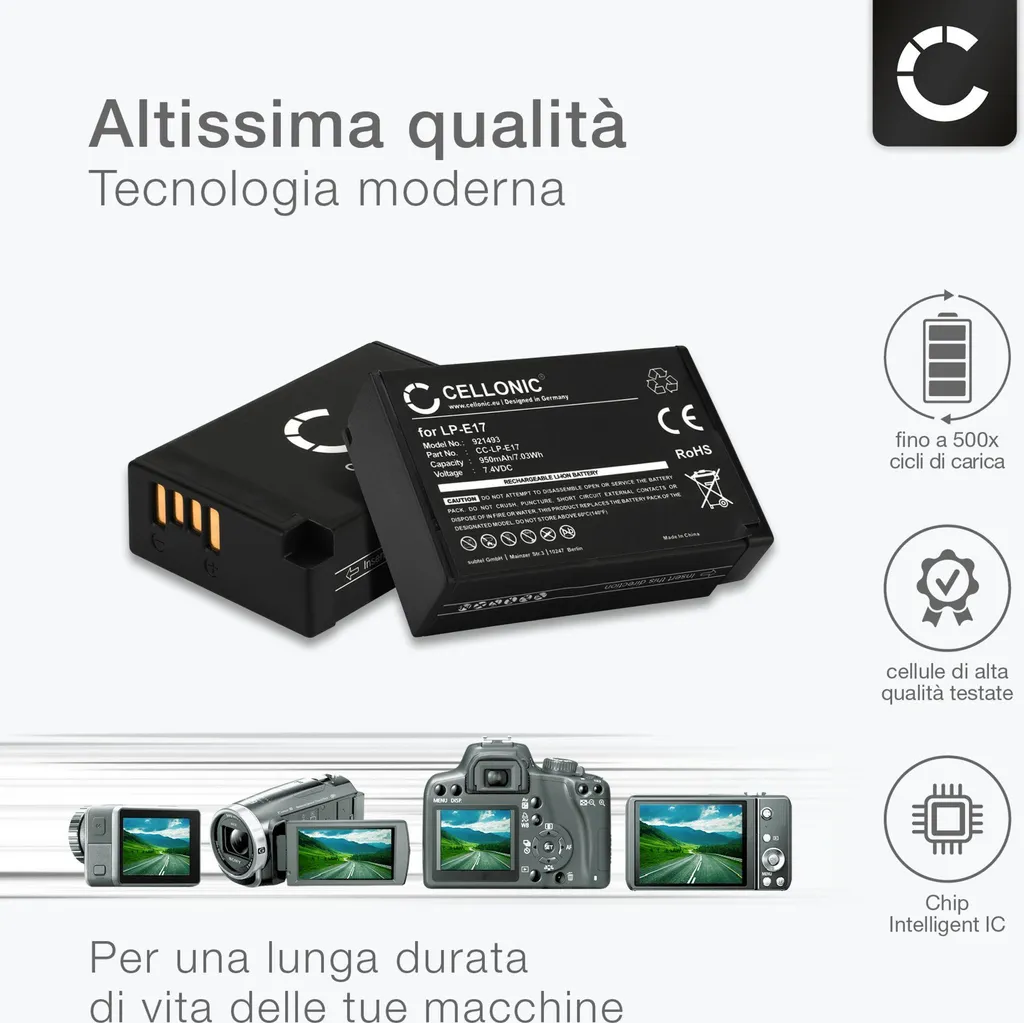 Batteria per Ricoh Caplio GX200 R50 R5 R4 R3 GX100 R40 R30 750mAh 3,6V