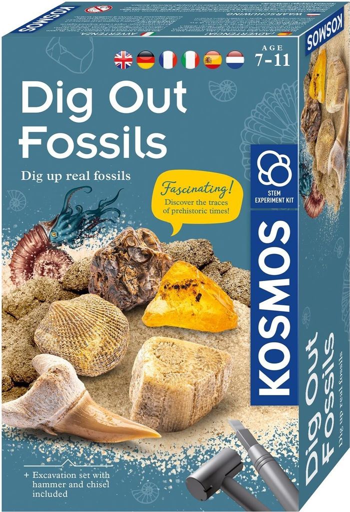 Kosmos Dig Out Fossils, Výkopová súprava, Archeológia, 7 Obrázok produktu 