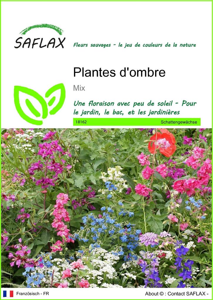 SAFLAX  - Plantes d'ombre - 1000 graines - Mix Image du produit 