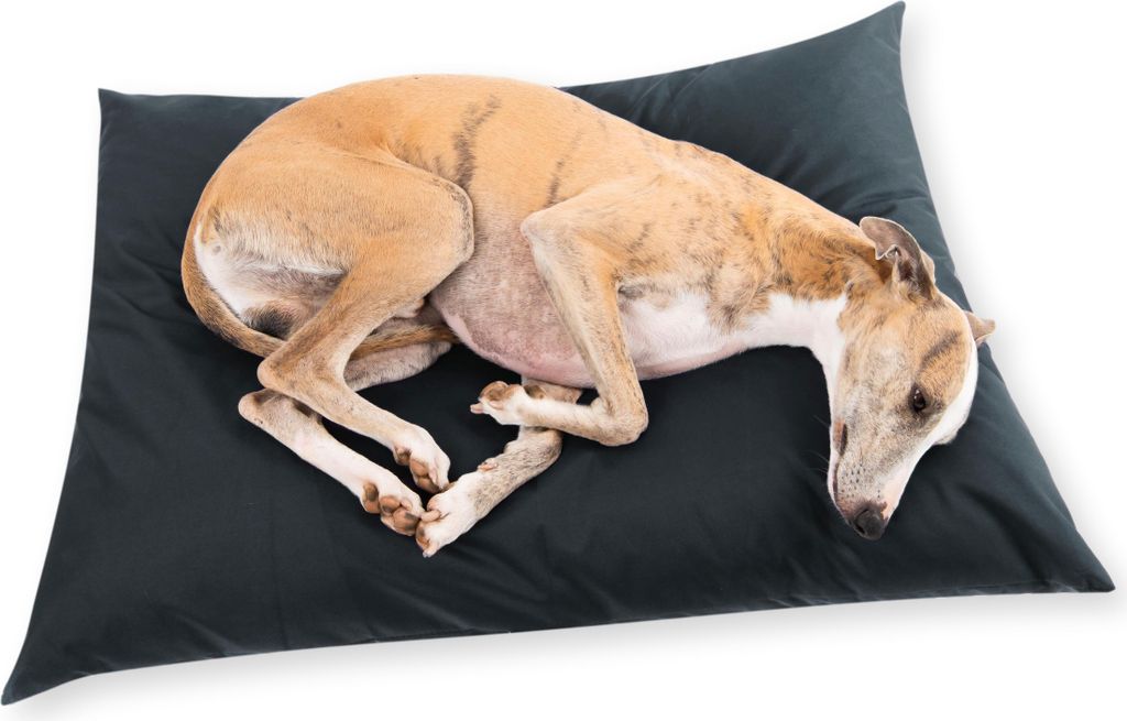 4L Textil ZOE Hundekissen waschbar mit Bezug und Reißverschluss Hundekissen Grosse Hunde Hundematte Liegekissen waschbares (80x60 cm, Schwarz)