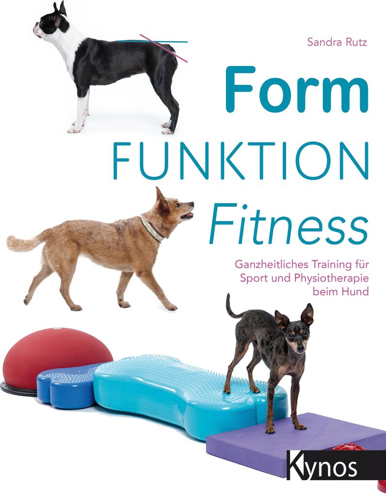 Form Funktion Fitness Produktbild 