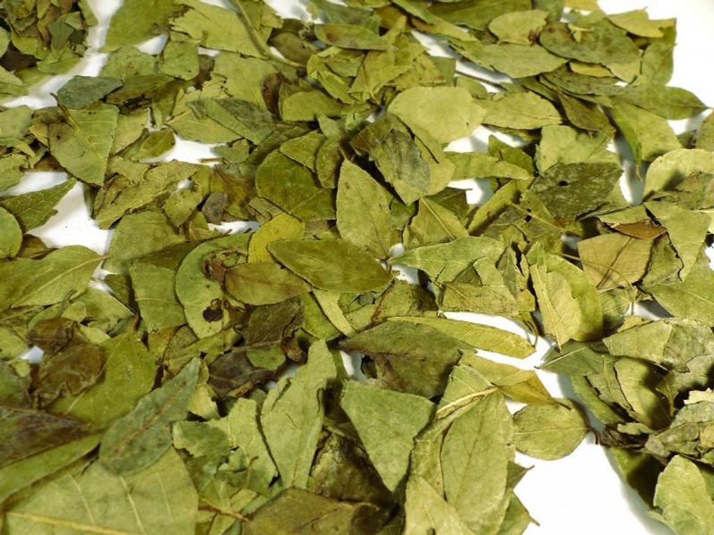 Naturideen® Curryblätter ganz 50 g, aromatisch für die Produktbild 