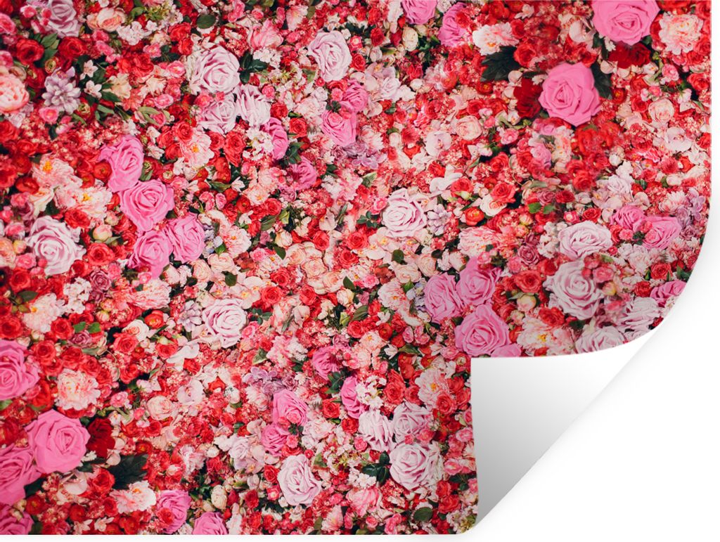 MuchoWow Wandtattoo Wandsticker Wandaufkleber Blumen - Farben - Rosen 80x60 cm Selbstklebend und Repositionierbar - Faltenfrei