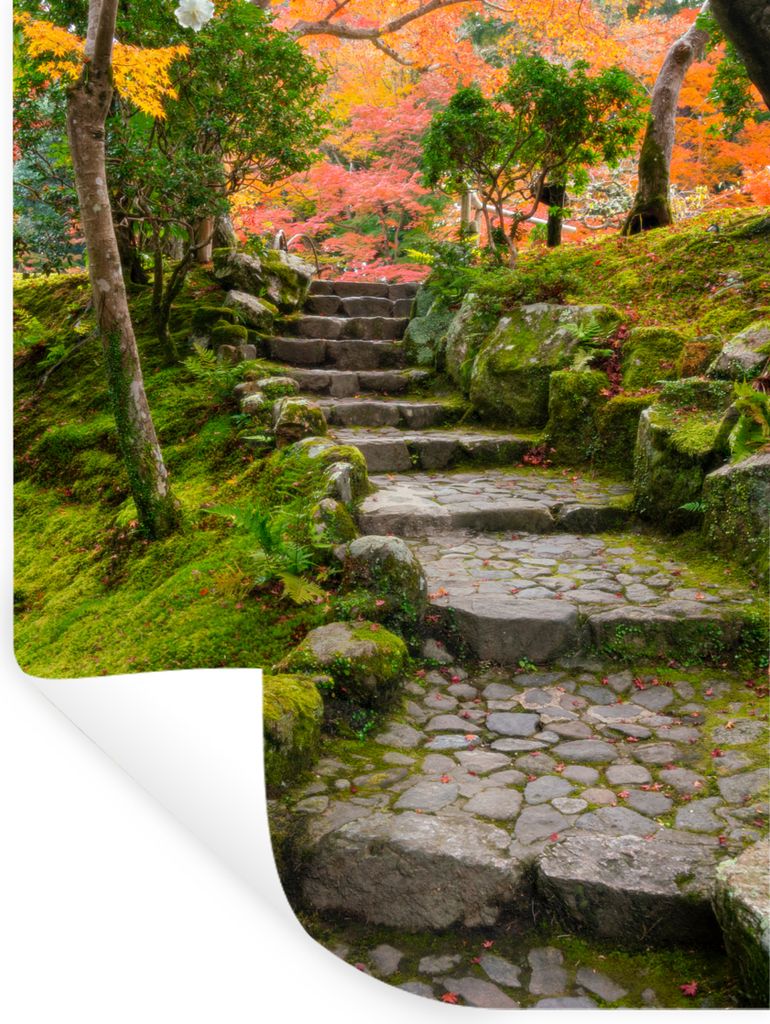 MuchoWow Wandtattoo Wandsticker Wandaufkleber Natur - Steine - Kröte - Moos - Japanisch 60x80 cm Selbstklebend und Repositionierbar - Reposition...