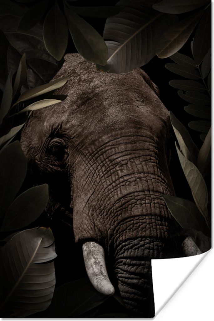 MuchoWow Poster Elefant - Dschungel - Pflanzen 120x180 cm - Kunstposter
