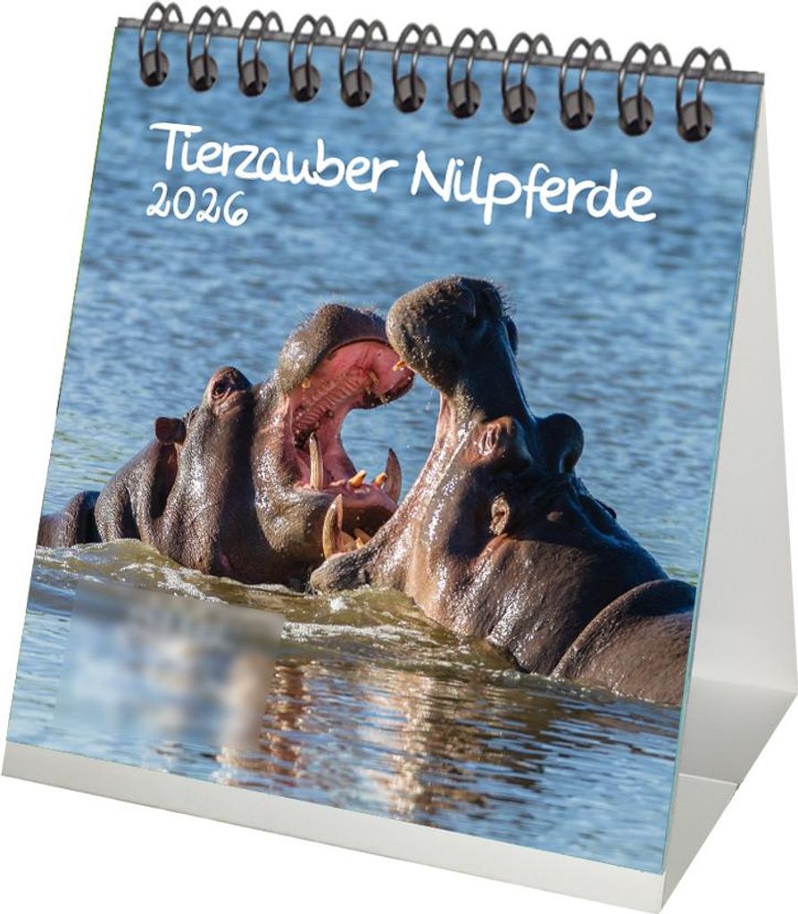 Tierzauber Nilpferde Tischkalender 10cm x 10cm für 2026 Afrika Flusspferde - Set: 1x Kalender 1x Weihnachtsanhänger 1x Grußanhänger (gesamt 3 T...