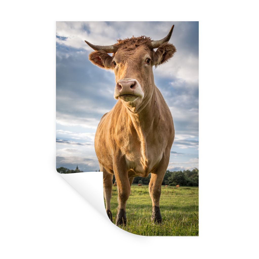MuchoWow Wandtattoo Wandsticker Wandaufkleber Kuh - Braun - Natur 80x120 cm Selbstklebend und Repositionierbar - Repositionierbar - Wasser abweisend