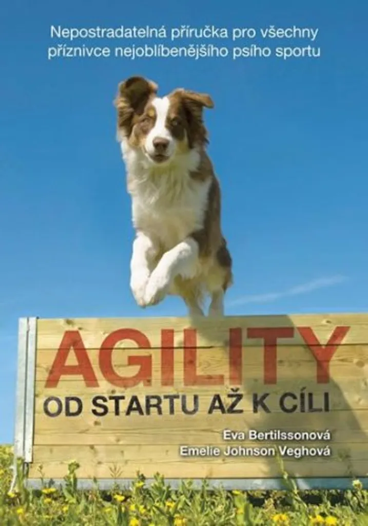 Agility - Od startu až k cíli (Bertilsson/Eva) : Guide d'entraînement