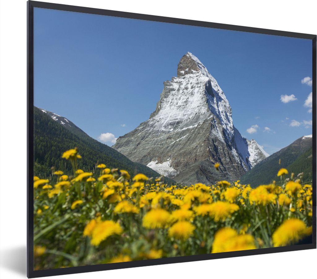 MuchoWow Gerahmtes Poster Das Matterhorn in der Schweiz über einem Löwenzahnfeld 80x60 cm - Poster mit Schwarzem Bilderrahmen Wandposter Rahmen...