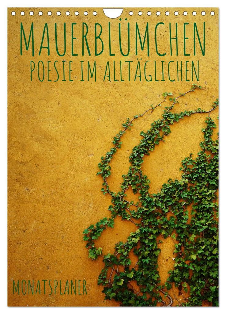 Mauerblümchen - Poesie im Alltäglichen als Monatsplaner (Wandkalender 2027 DIN A4 hoch), CALVENDO Monatskalender