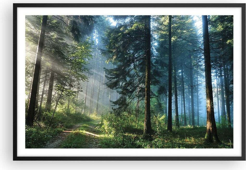 Gerahmtes Poster - Schwarzer Rahmen - Wald Dämmerung die Sonne - 91,5x61 cm - Wand Bild - Wanddeko - Wandbilder - Kunstposter - Wandposter - Bilde...
