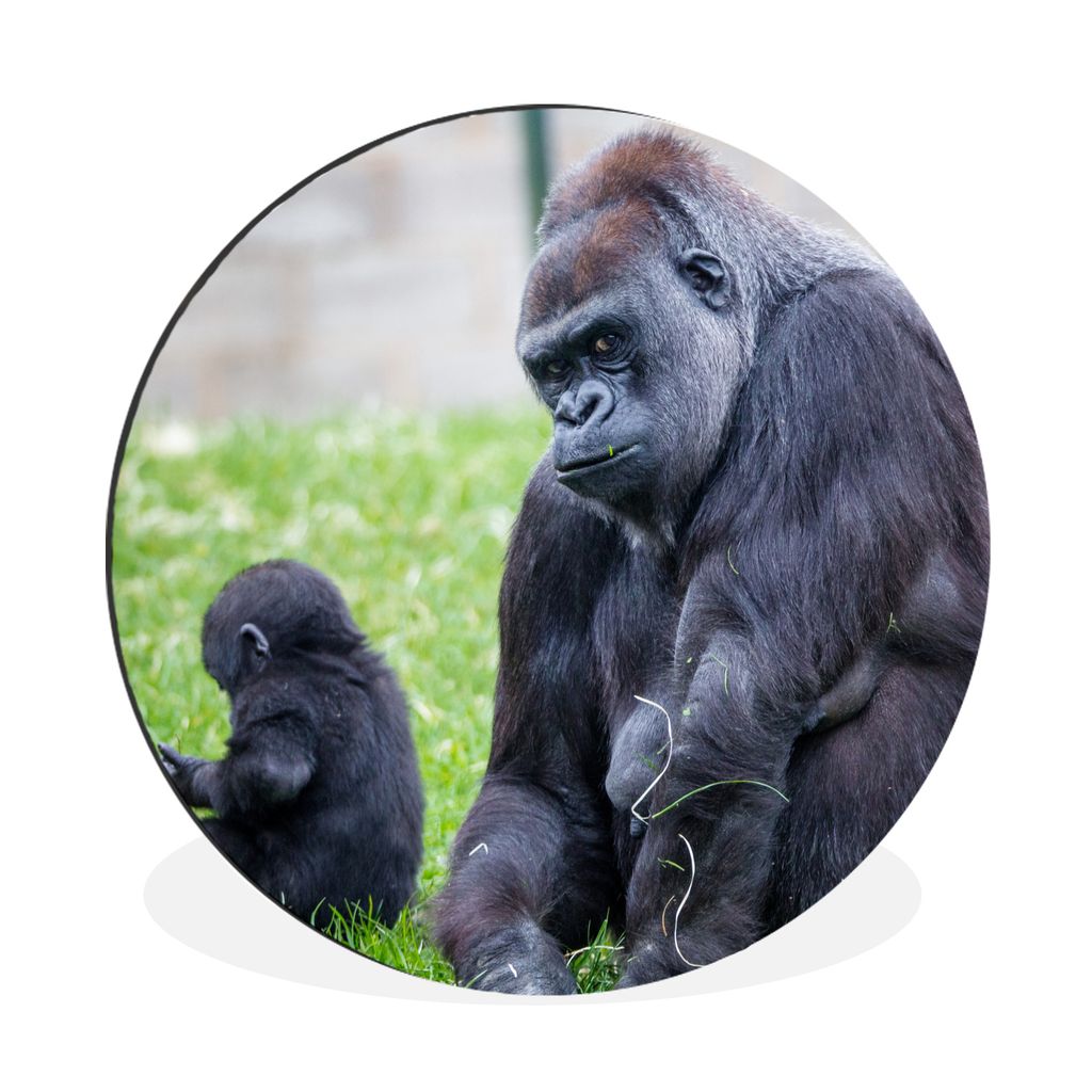 MuchoWow Aluminium Wandkreis Ein großer Gorilla mit seinem Baby Ø 90 cm Wanddeko Modern Wohnzimmer - Mauerkreis - Wandbilder - Runde Bild - Bil...