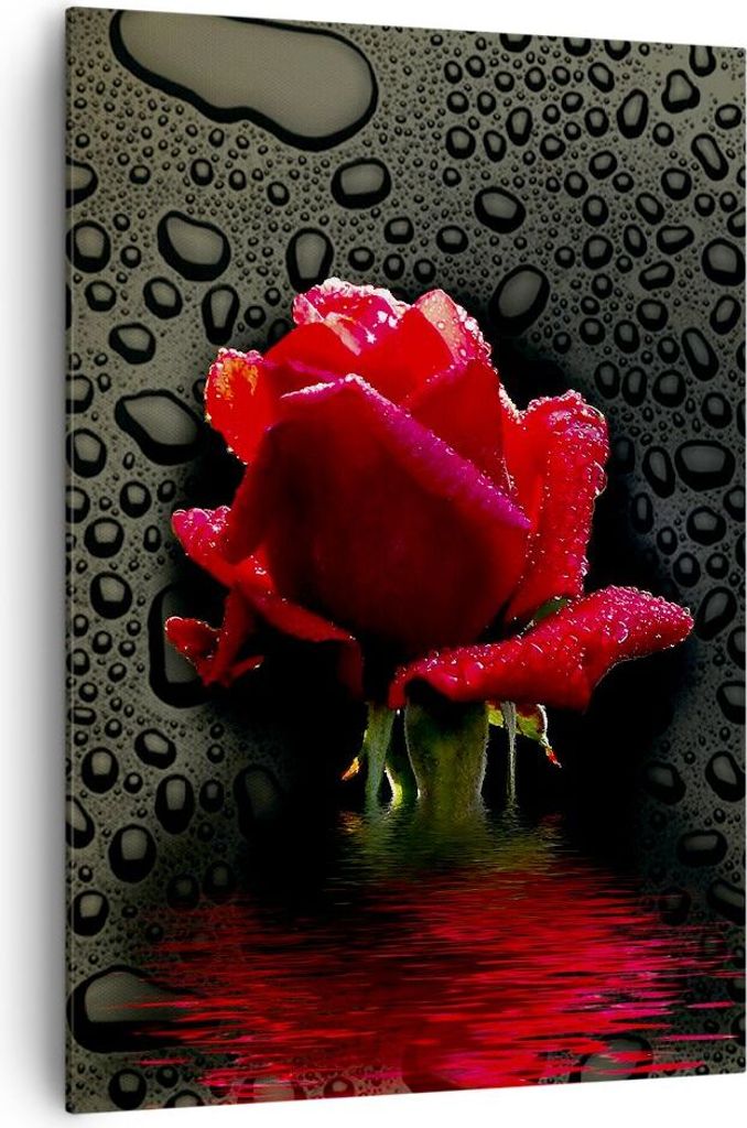 Bild auf Leinwand - Leinwandbild - Einteilig - Blume rote rose wasser tau - 70x100cm - Wand Bild - Wanddeko - Wandbilder - Leinwanddruck - Wanddeko...
